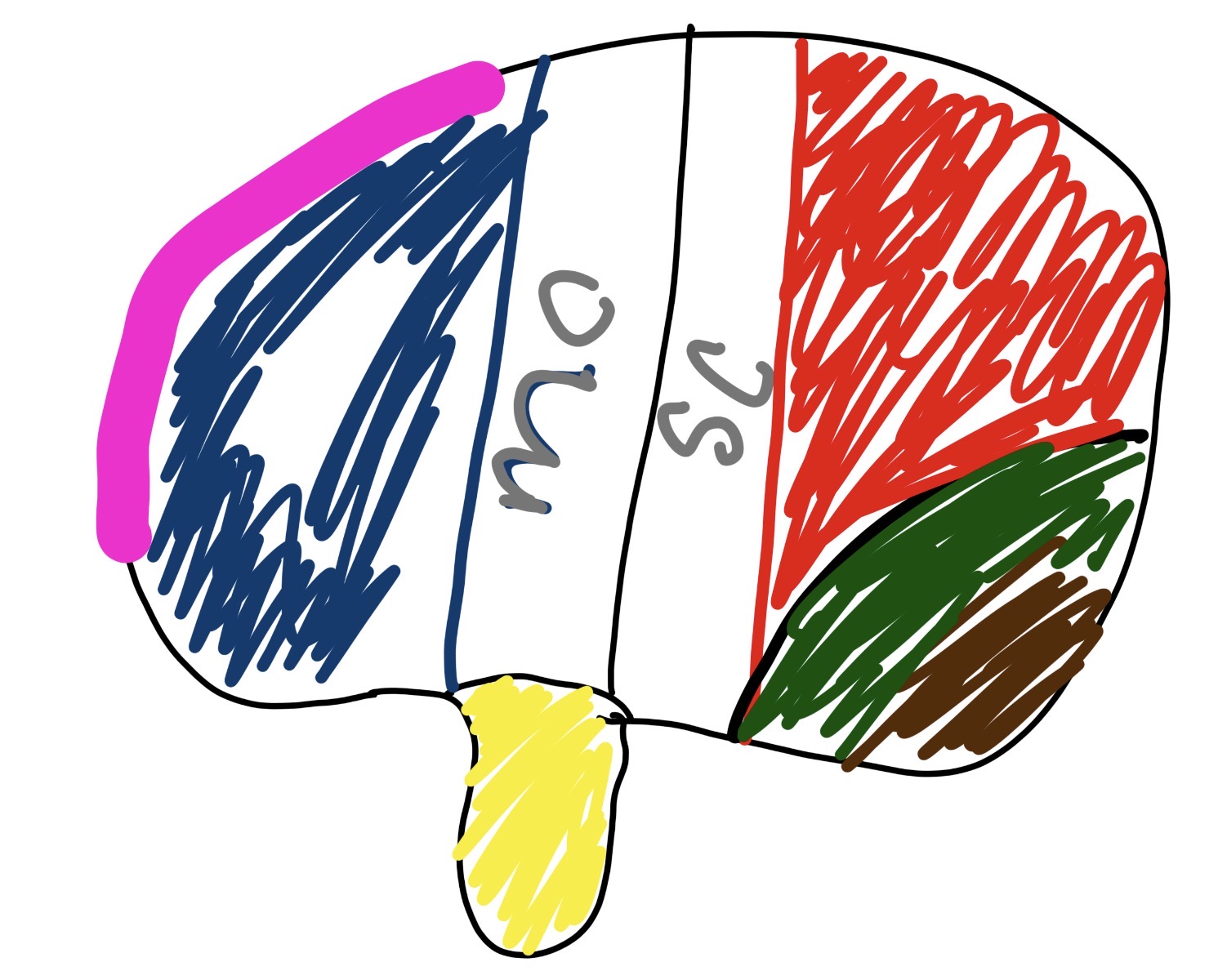 <p>what section is the pink and blue and what does it do</p>