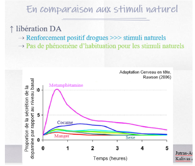 <ul><li><p>Graphique montre que plaisir est plus grand comparé à d’autres comportements nécessaires (ex : manger)</p></li></ul><p></p>