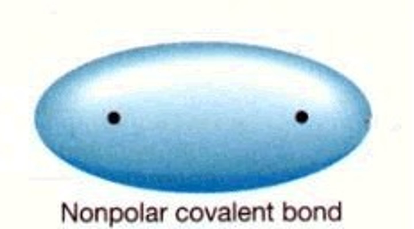 <p>Equal sharing/pulling of electrons between nonmetals (if EN difference is 0, 0.1, or 0.2 assume it is a nonpolar covalent bond)</p>