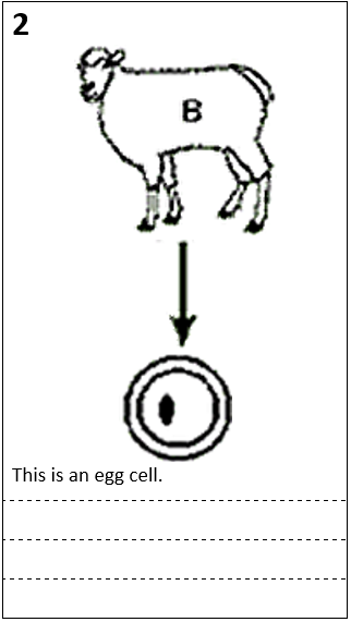<p>What step is this</p>