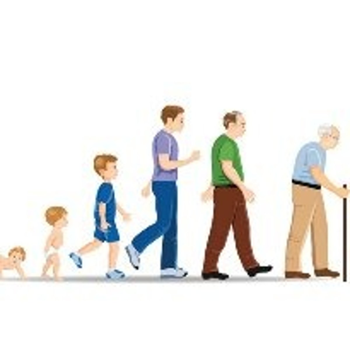 <p>The average, expected period of time a person can live.</p>