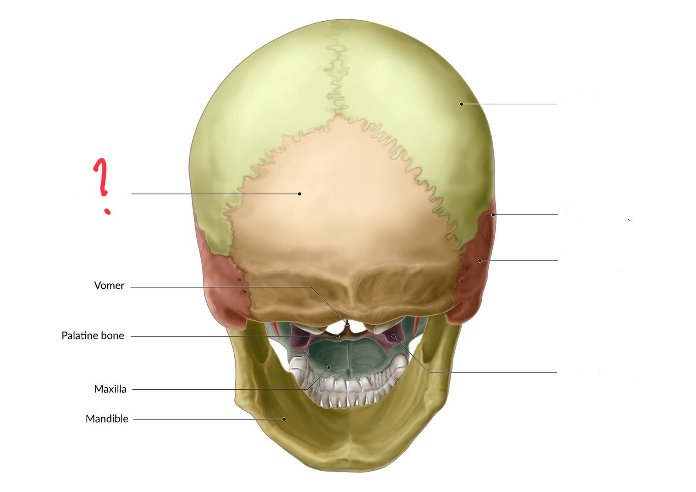 term image
