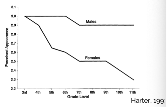 <p>influences on self-esteem</p>