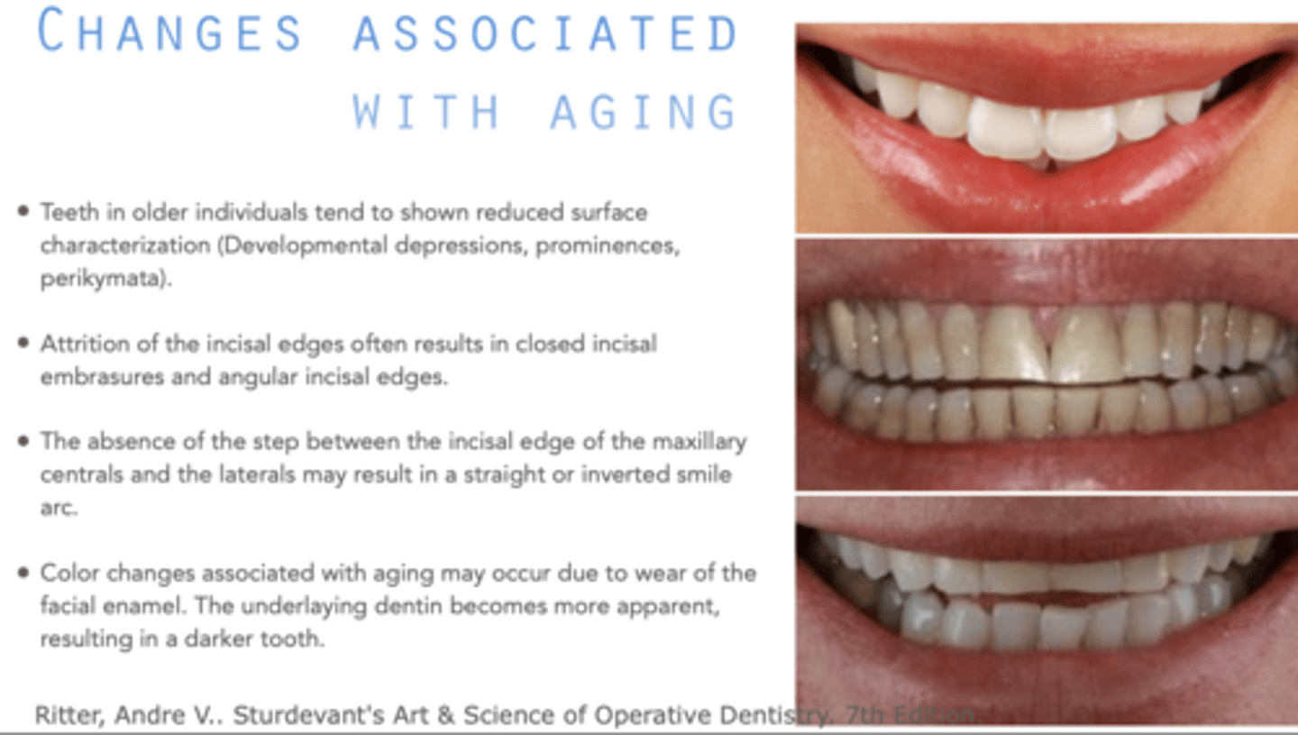 <p>straight/inverted smile</p>