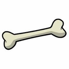 een bot