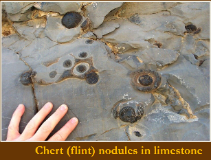<p>Nodules and irregular layers within mudstones/limestones. Precipitates under acidic conditions</p>