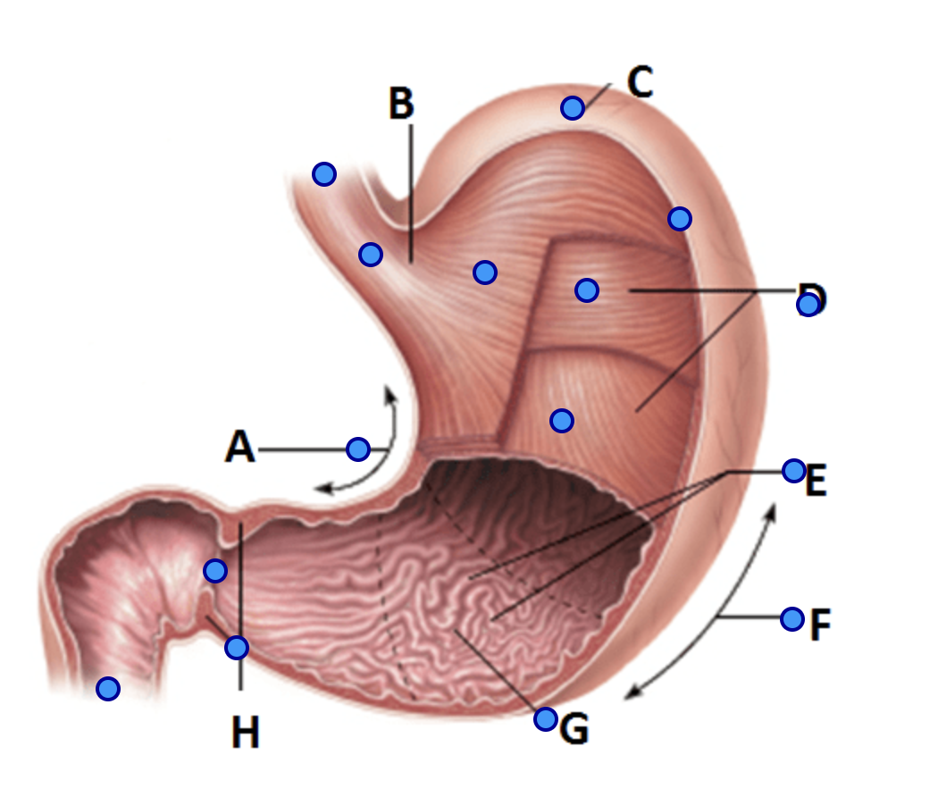 <p>far left</p>