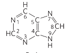 <p>Identify</p>