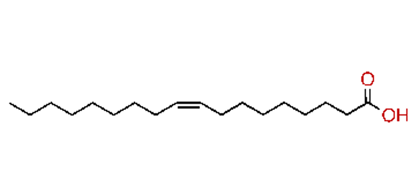 <p>18 carbons + DB C9</p>