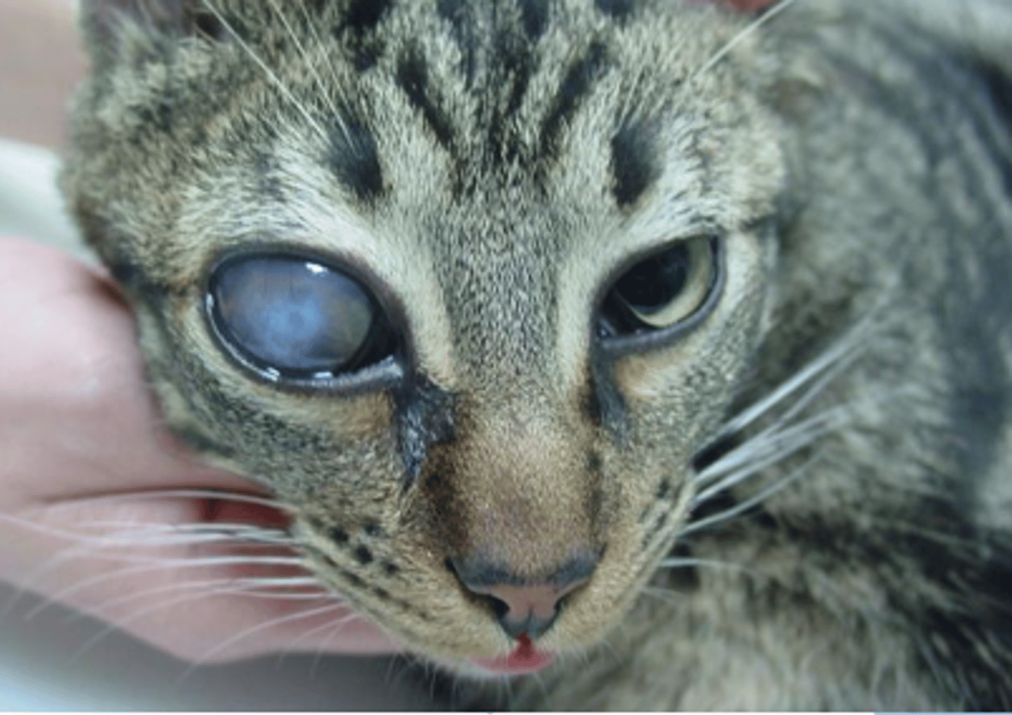 <p>what is this called?</p>