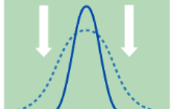<p>Stabilizing selection </p>