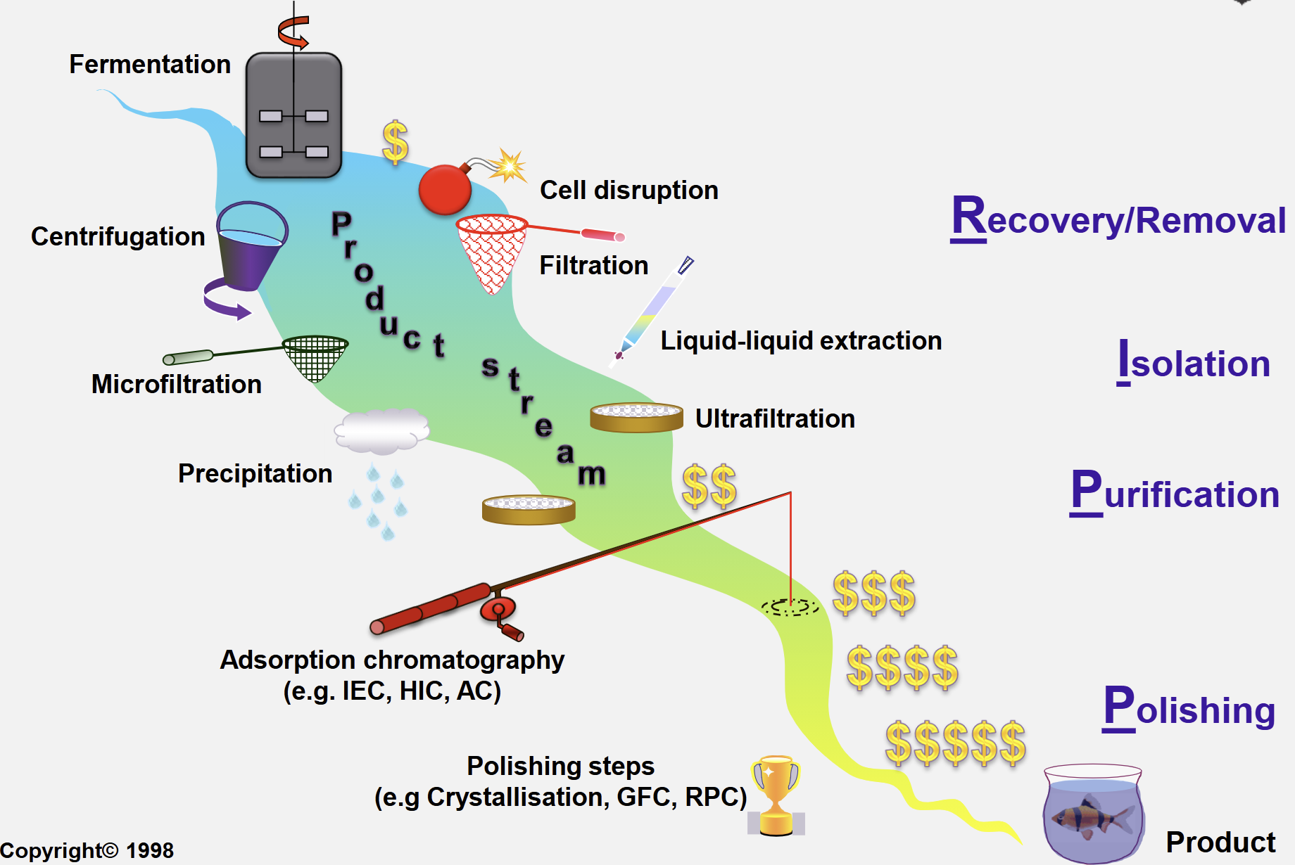 <p>Traditional Approach to Downstream Processing (<span style="color: rgb(12, 200, 247);">DSP</span>)</p>