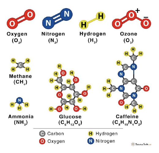 <p>a group of two or more atoms held together by chemical bonds</p>