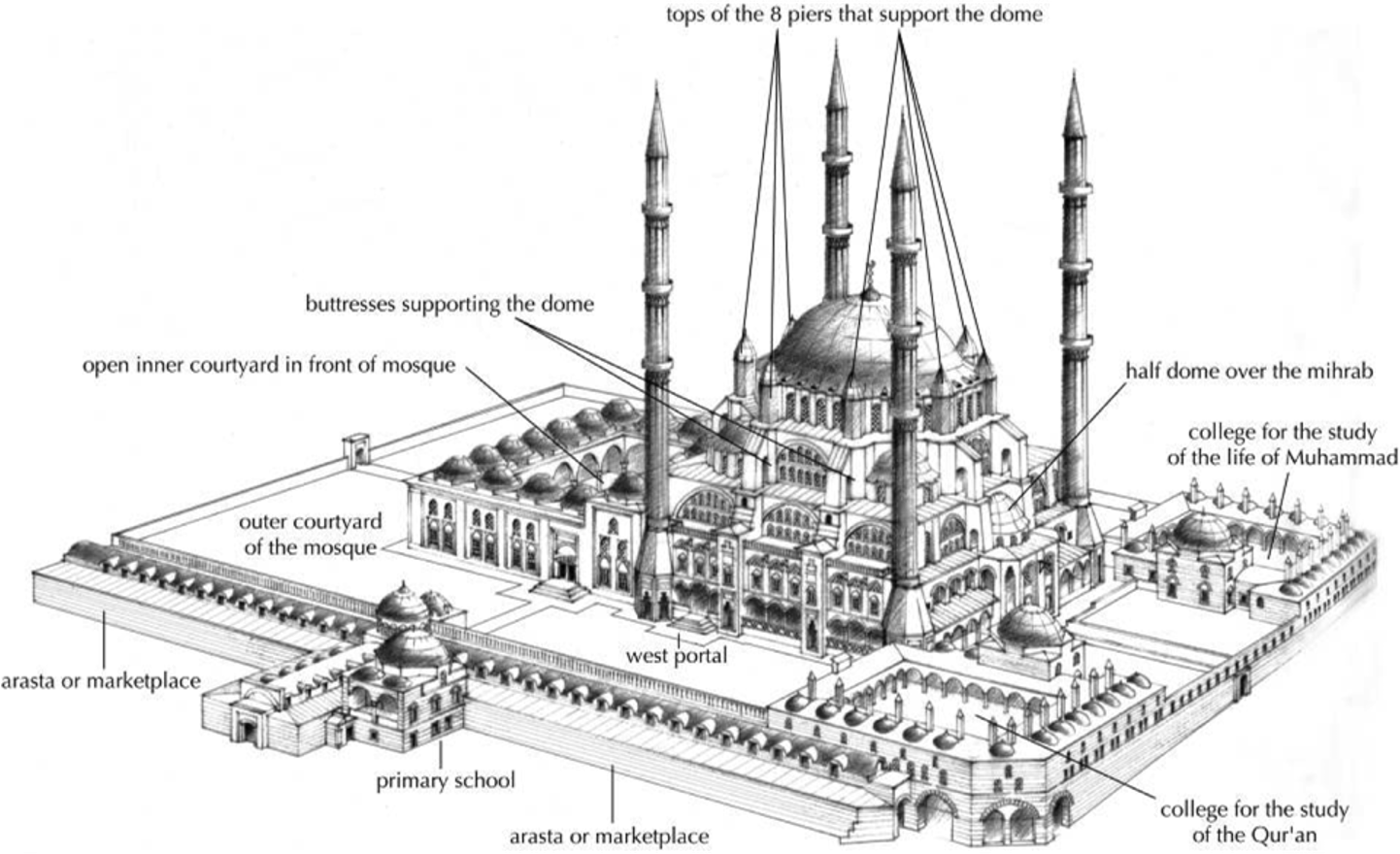 term image
