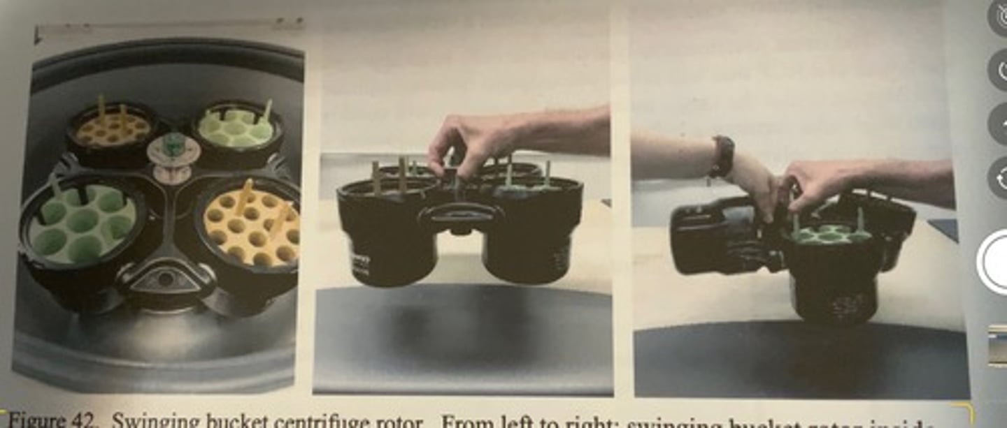 <p>-the centrifuge tubes sit in a bucket that is in turn attached to the rotor at only 2 points which allows the buckets to swing out in the rotating plane of the rotor when the rotor is spinning.</p>