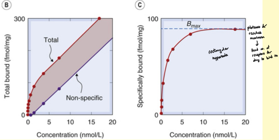 <p>Specific binding = total bound - nonspecific binding</p>