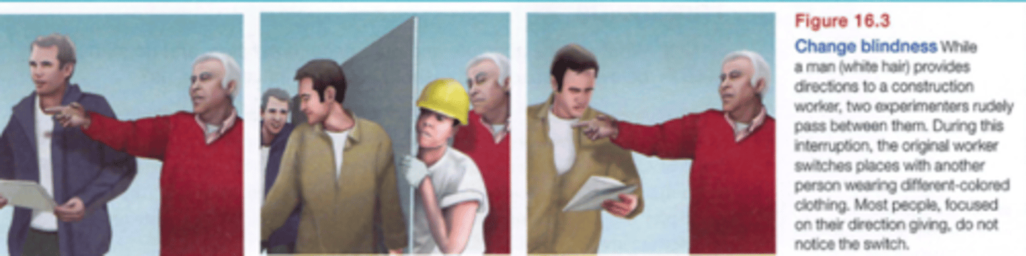 <p>The phenomenon where an individual fails to notice significant changes to something they are actually focusing on, when those changes occur during a brief interruption or disruption (like a blink, a camera cut in a film, or when one object blocks or obscures another). </p><p>Change blindness is failing to see a change between an earlier state or version of something we are focusing on and a later state or version of the same thing.</p><p>ex: when I didn't notice the person changed in the video </p>