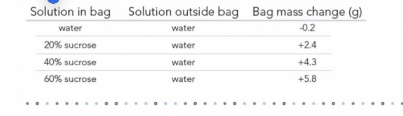 <p>In the following data table of an experiment carried out at 4° C (39.2º F) over 4 hours, which of the following options represents the dependent variable?</p>