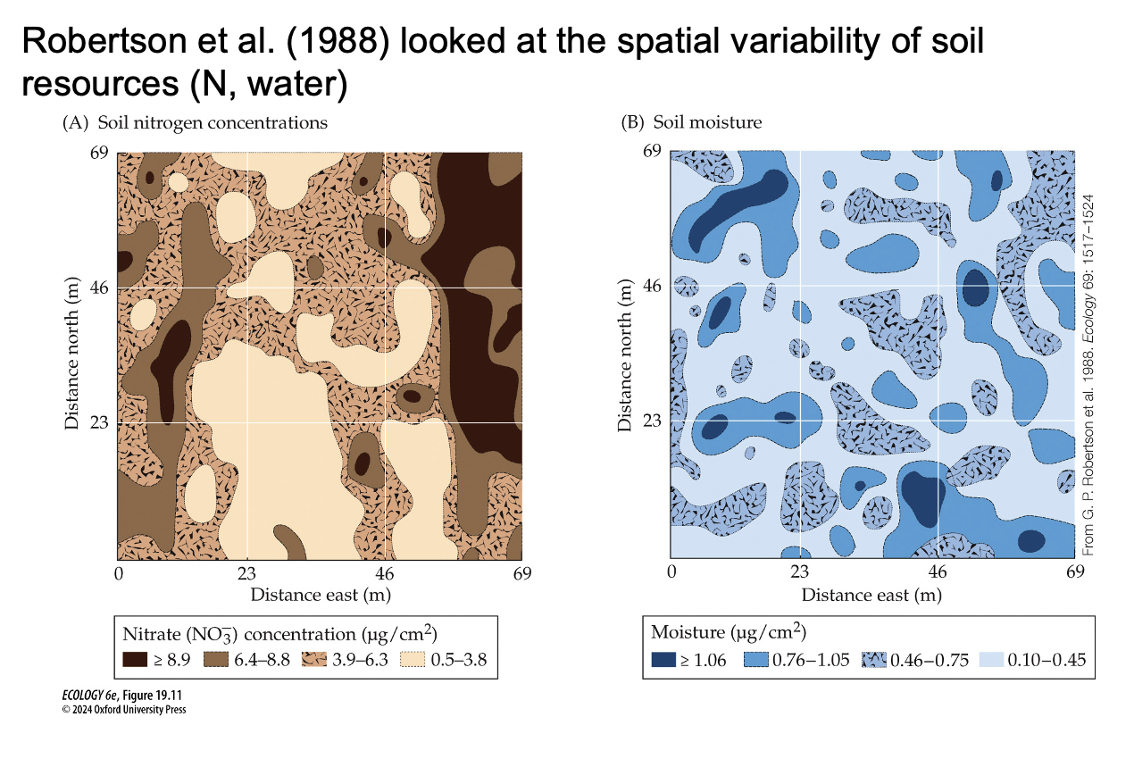 <p>What does Figure 19.11- Spatial Resource Heterogeneity reveal about resource distribution in plant communities?(Robertson et al. (1988) looked at the spatial variability of soil resources (N, water))</p>