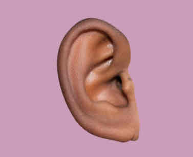 <p>a momentary sensory memory of auditory stimuli</p>
