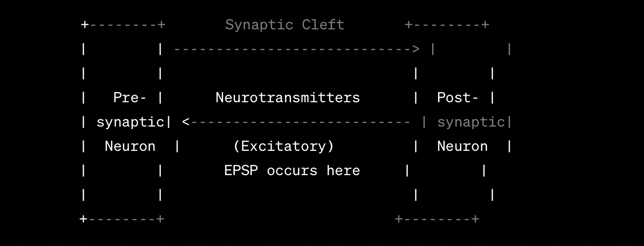 <p><strong>EPSP </strong></p>
