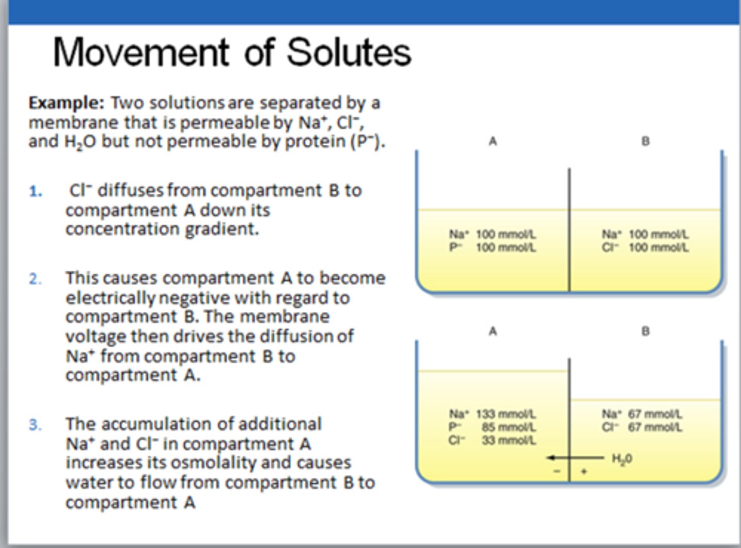 <p>ions will follow their individual concentration gradient!!</p><p>Cl- will bring water, sodium will follow to balance the difference and will bring more water</p>