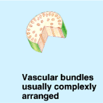 <p>What is this structure of? </p>