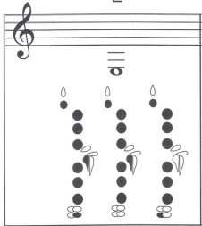 <p>Note name?</p>