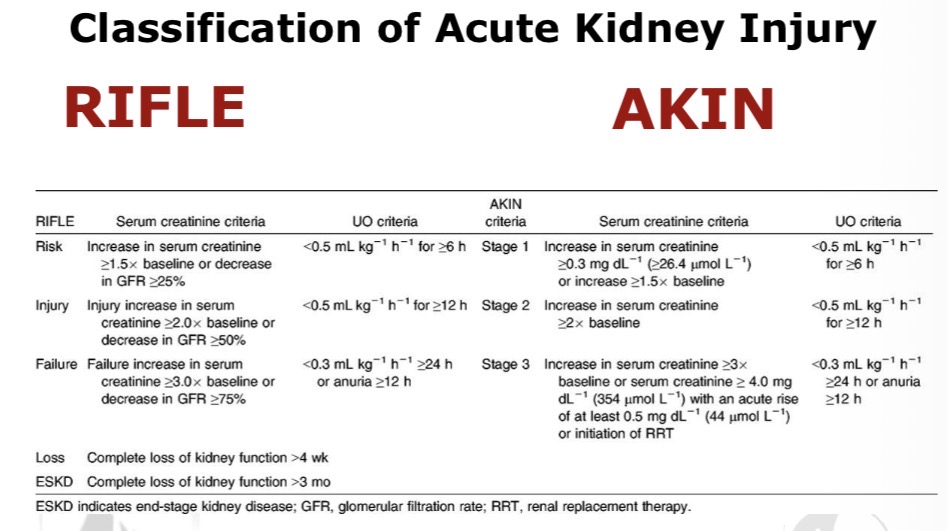 <ol><li><p><span>RIFLE classification</span></p></li></ol><ul><li><p>Risk</p></li><li><p>Injury</p></li><li><p>Failure</p></li><li><p>Loss</p></li><li><p>End-stage kidney disease</p></li></ul><ol start="2"><li><p><span>AKIN classification (Acute Kidney Injury Network)</span></p></li></ol><p></p><p></p>