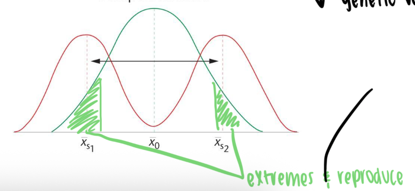 <p>both phenotypic extremes are selected for at the expense of the mean</p><ul><li><p>results in population with increasingly bimodal distribution for trait</p></li></ul><p></p>