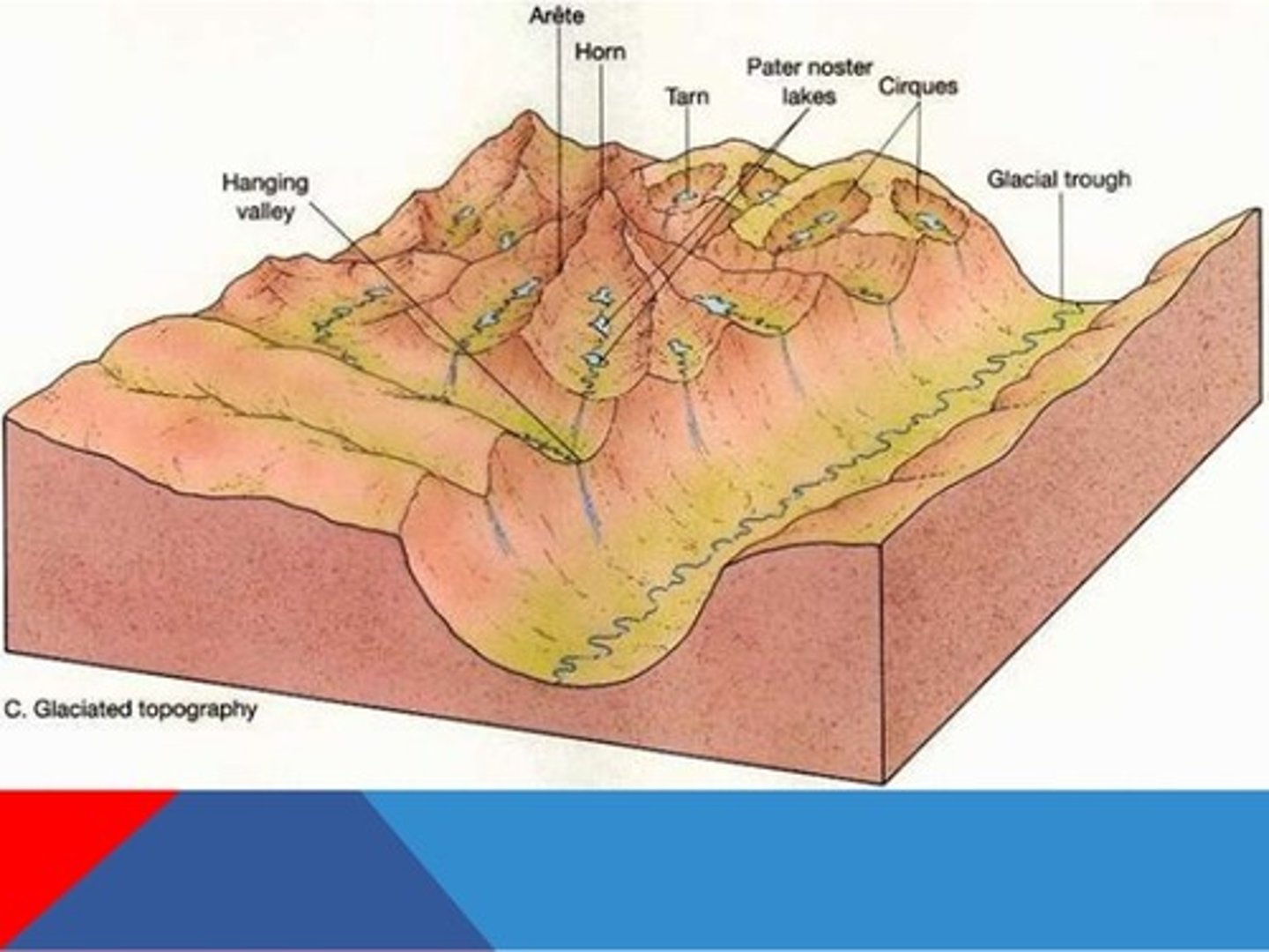 <p>Develop where glaciers flow into pre-existing river valleys, widening and deepening them. Glaciers straighten the valley and cut off spurs, forming truncated spurs.</p>