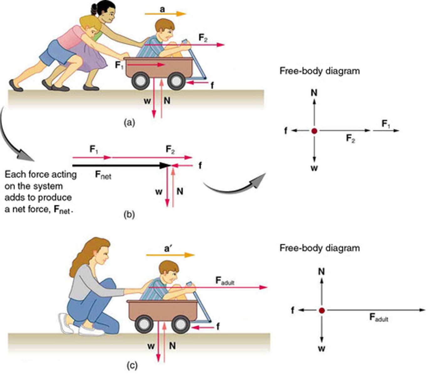 <p>The acceleration of a system is directly proportional to and in the same direction as the net external force acting on the system, and inversely proportional to its mass.</p>