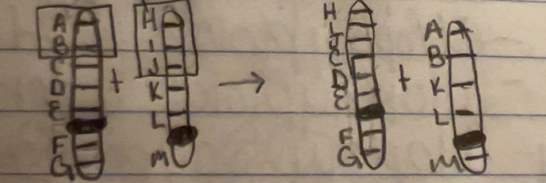 <p>structural change to chromosomes</p>