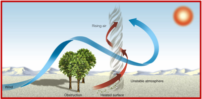 <p><span>a small spinning vortex of air formed over hot, dry land</span></p><ul><li><p><span>Goes from ground up (opposite of tornado)</span></p></li></ul><p></p>