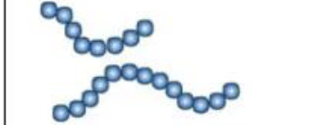 <p>Identify arangement</p>