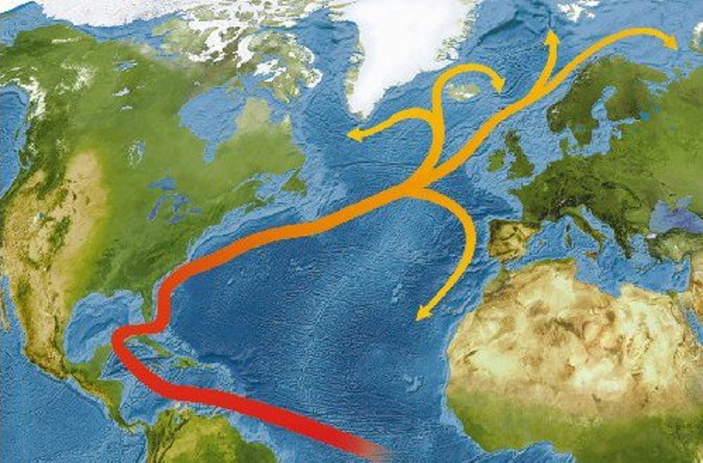 <p>A warm ocean current that flows from the Gulf of Mexico to northwest Europe</p>
