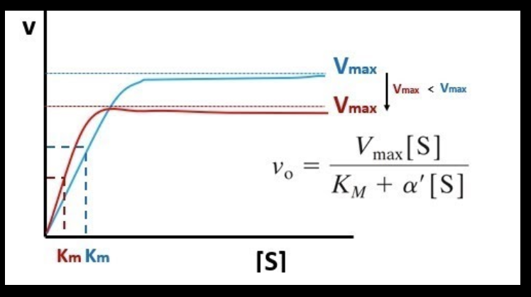 <p>with high substrate concentration, would you expect to see more P2 (red line) or P3 (blue line)?</p>