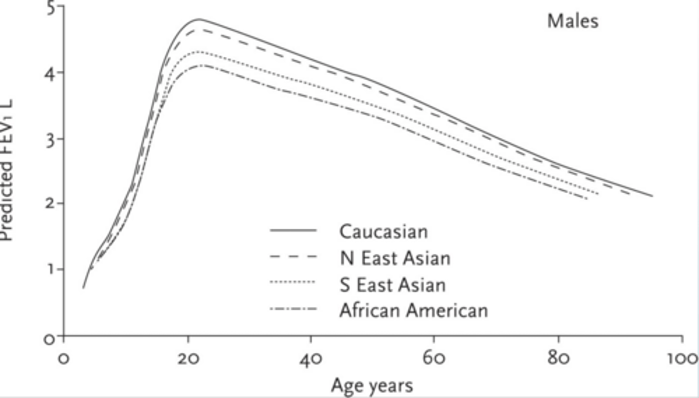 <p>caucasians have the highest capacity</p><p>african americans have the lowest</p><p>males have a larger capacity than females</p>