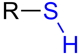 Sulfur bonded to a hydrogen atom.