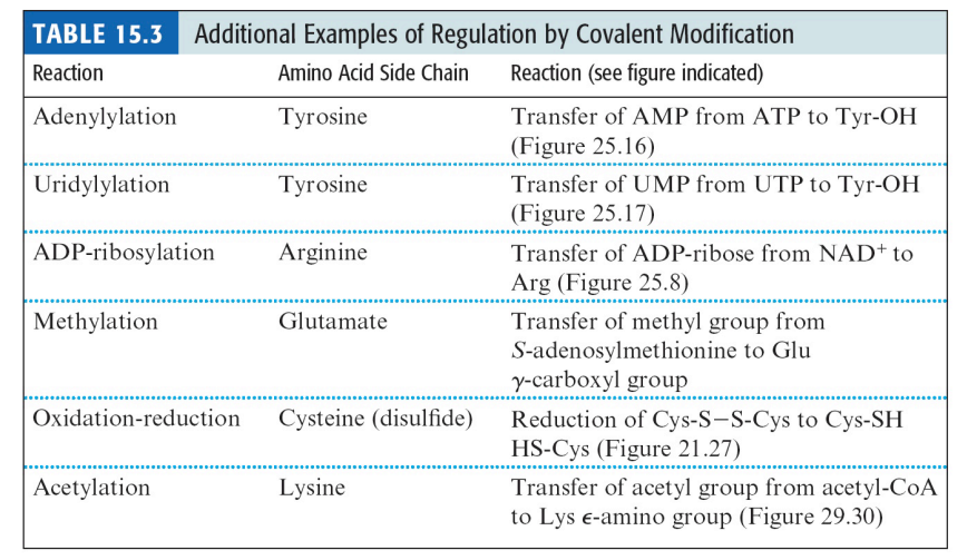 <ul><li><p>Several different chemical modifications of proteins have been discovered </p></li><li><p>Only a few are used to achieve metabolic regulation through reversible conversion of an enzyme between active and inactive forms</p></li></ul><p></p>