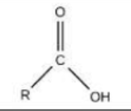 <p>Name the functional group</p>