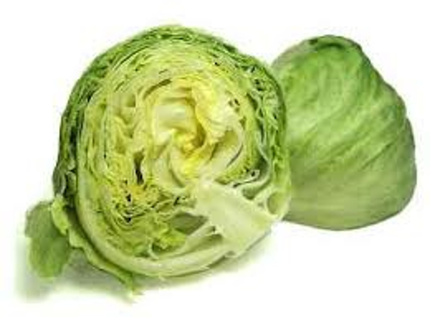 <p>lettuce</p>
