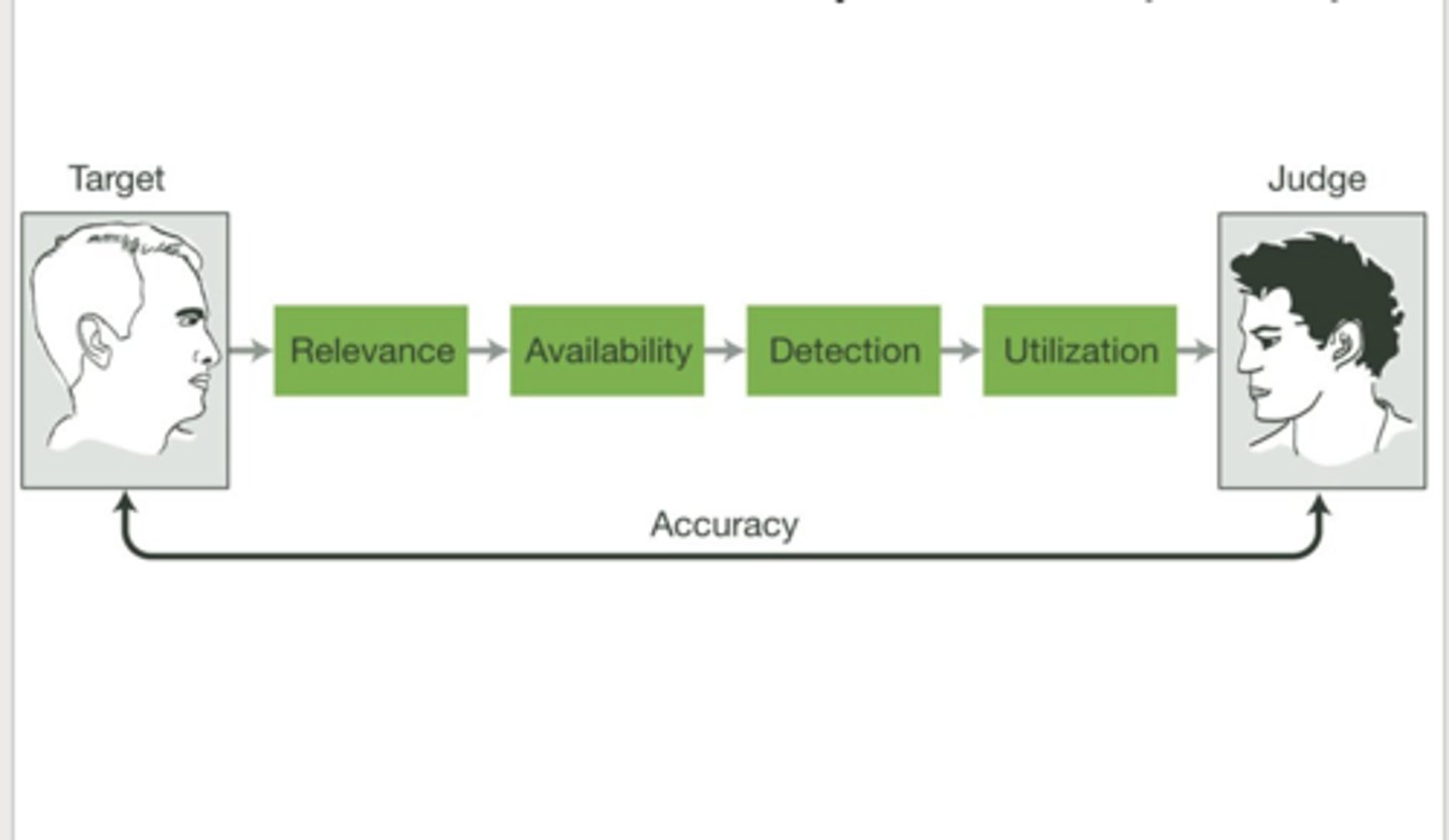 <p>Personality judgment accuracy through 4 stages: relevance, availability, detection, utilization</p>