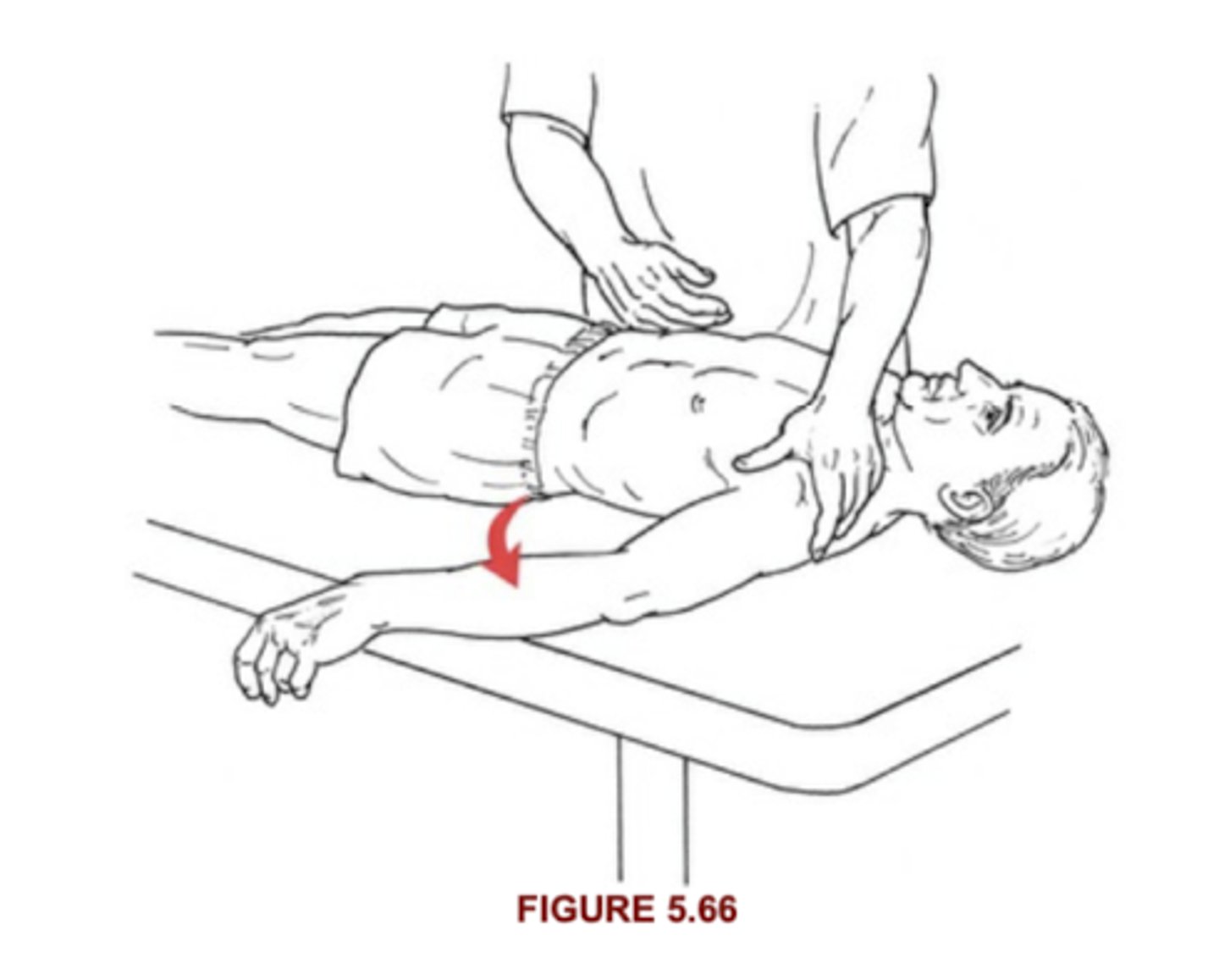<p>Supine, arm at side supported on table, thumb pointed outward, completes full ROM in gravity minimized</p>