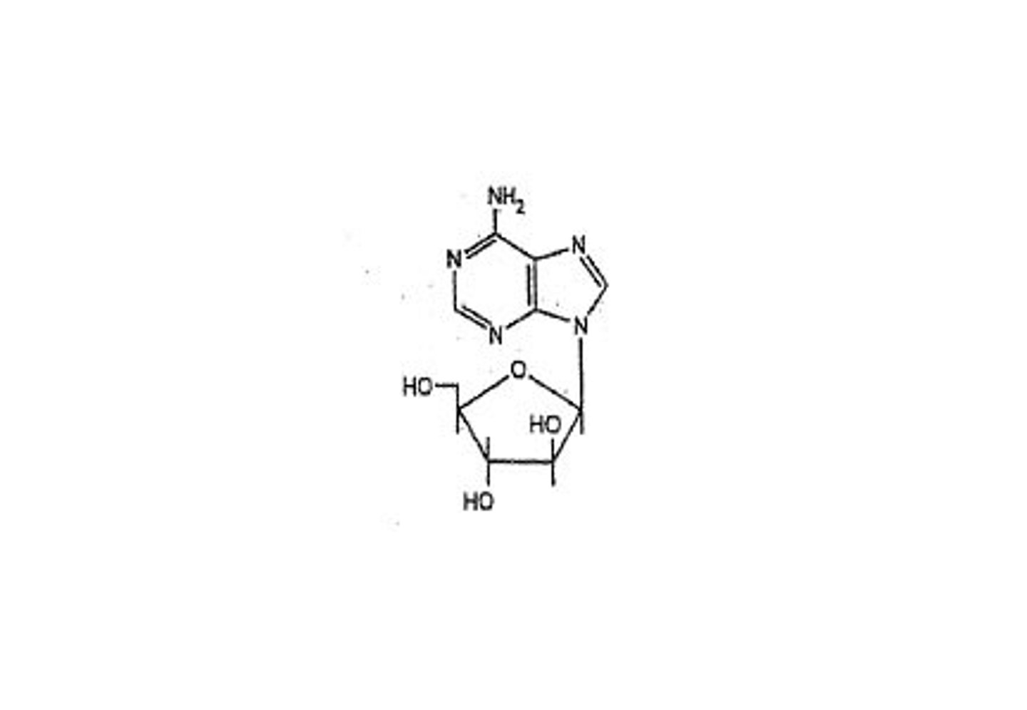 <p>adenosine, guanosine, cytidine, thymidine, uridine</p>