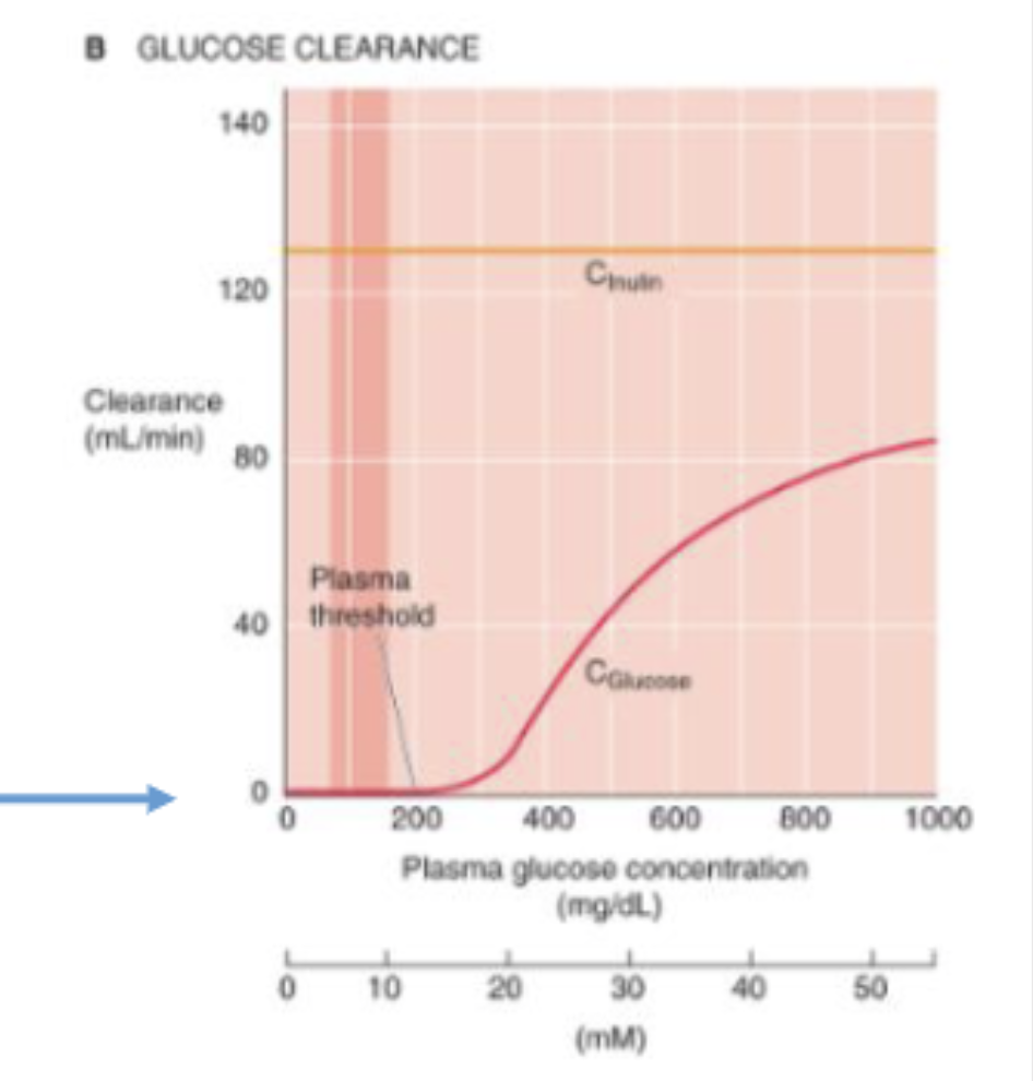 <p>no glucose appears in the urine, the clearance of glucose is zero</p>