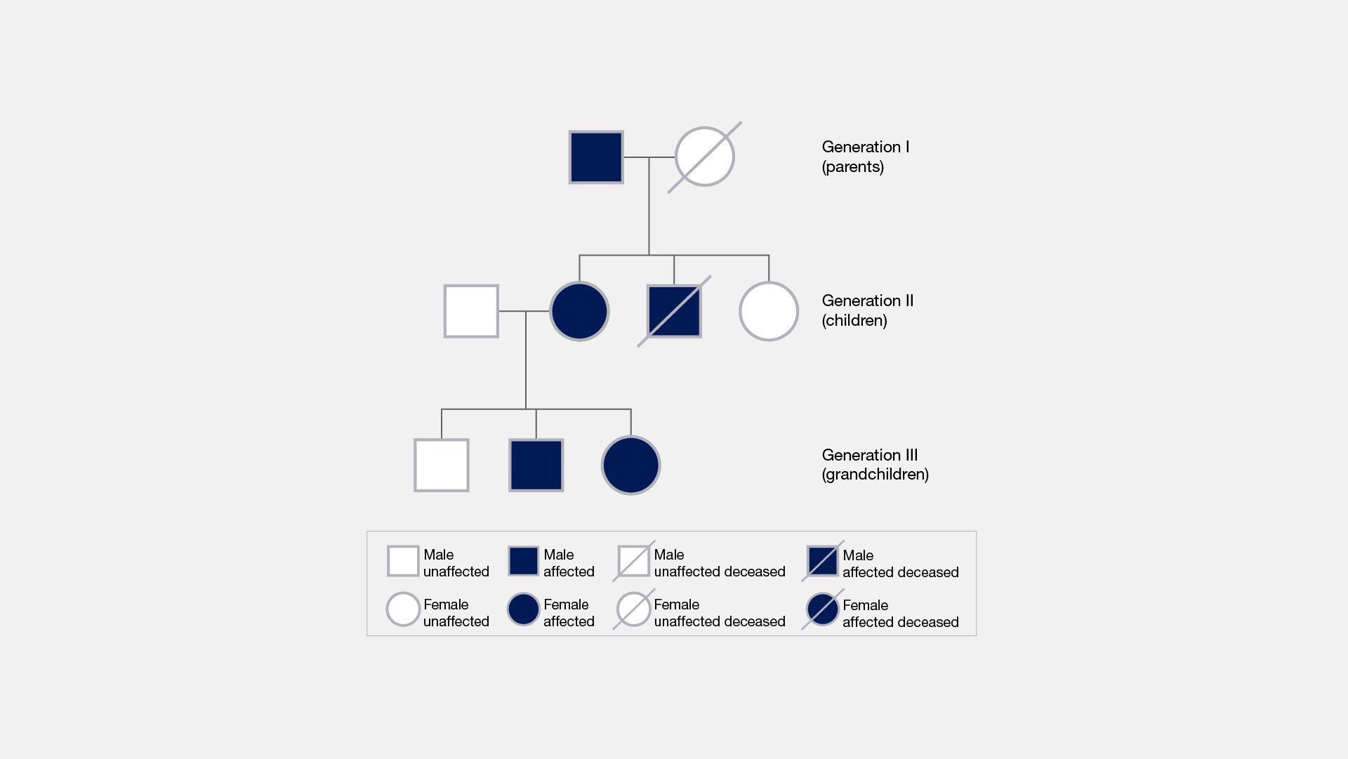 <p>Pedigree, en schematisk sammanställning av ärftlighetsgången i en släkt.</p>