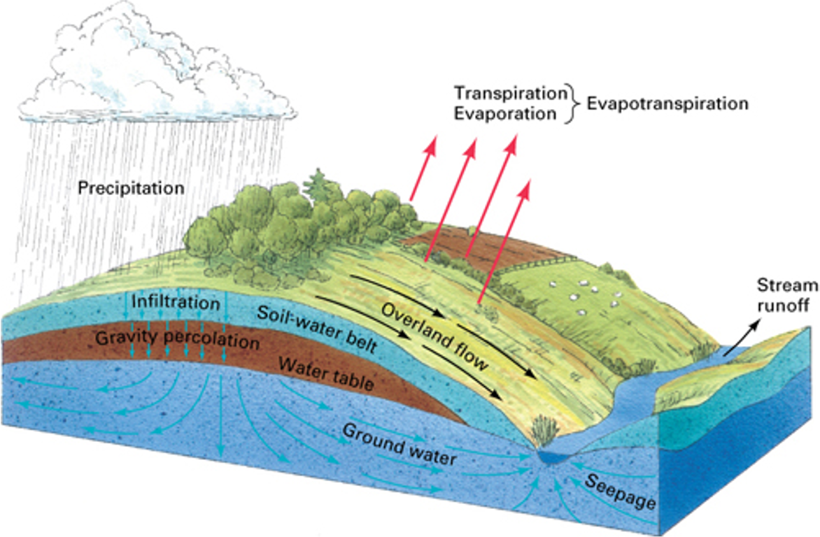 oceaanwater verdampt - regent uit boven land - water trekt de grond in - vult grond water aan - evapotranspiration