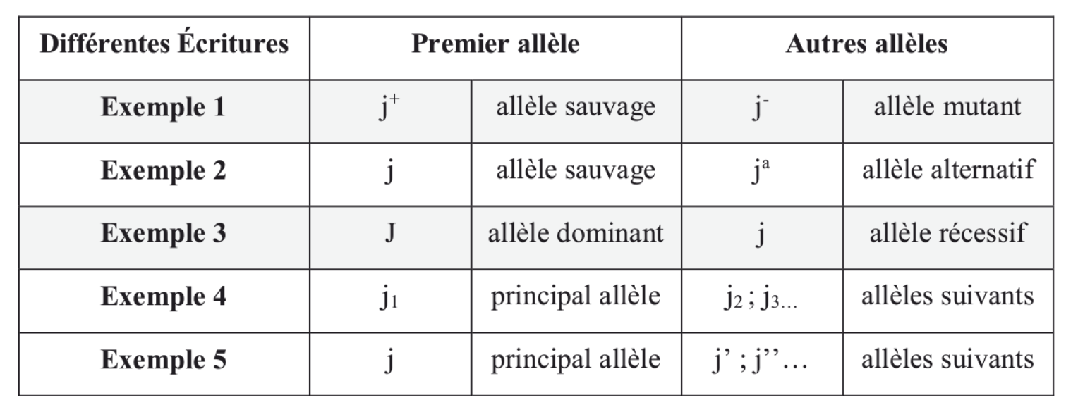 <p>Utilisation des majuscules et minuscules (méthode utilisée par Mendel) : l’initiale du nom d’un caractère récessif, en minuscule indique l’allèle récessif et la même lettre en majuscule fait référence à l’allèle dominant</p>