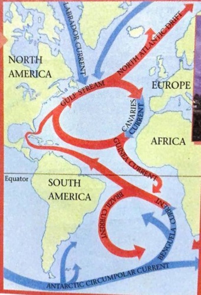 <p>North Atlantic Drift.</p>